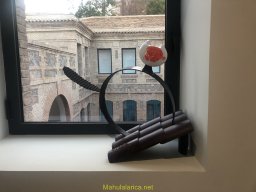 Exposición de Flyppy 2023